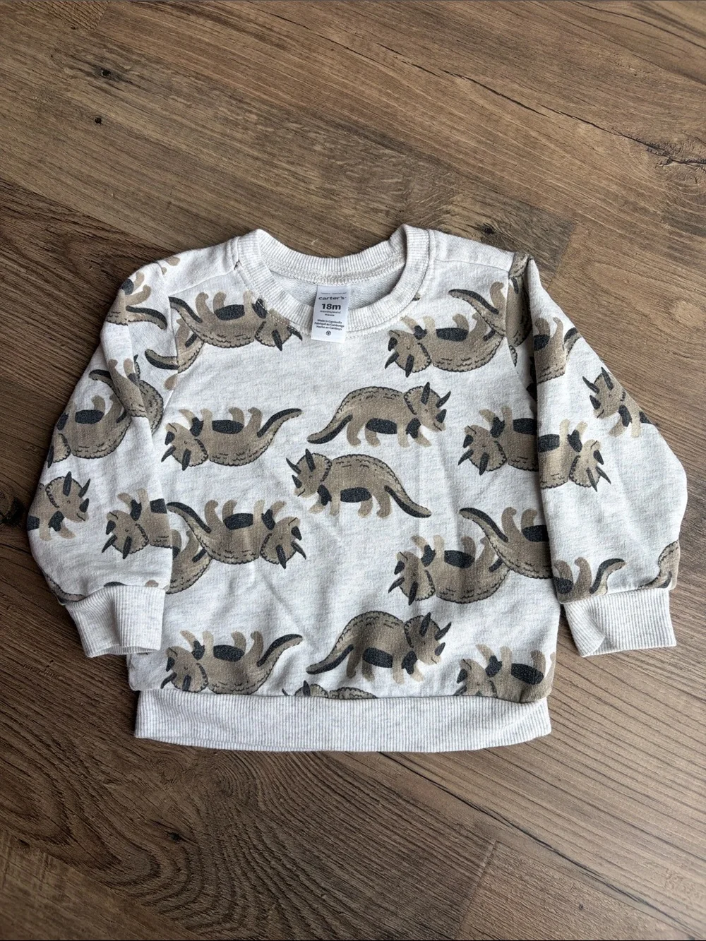 18 Months Triceratops Print Sweatshirt
